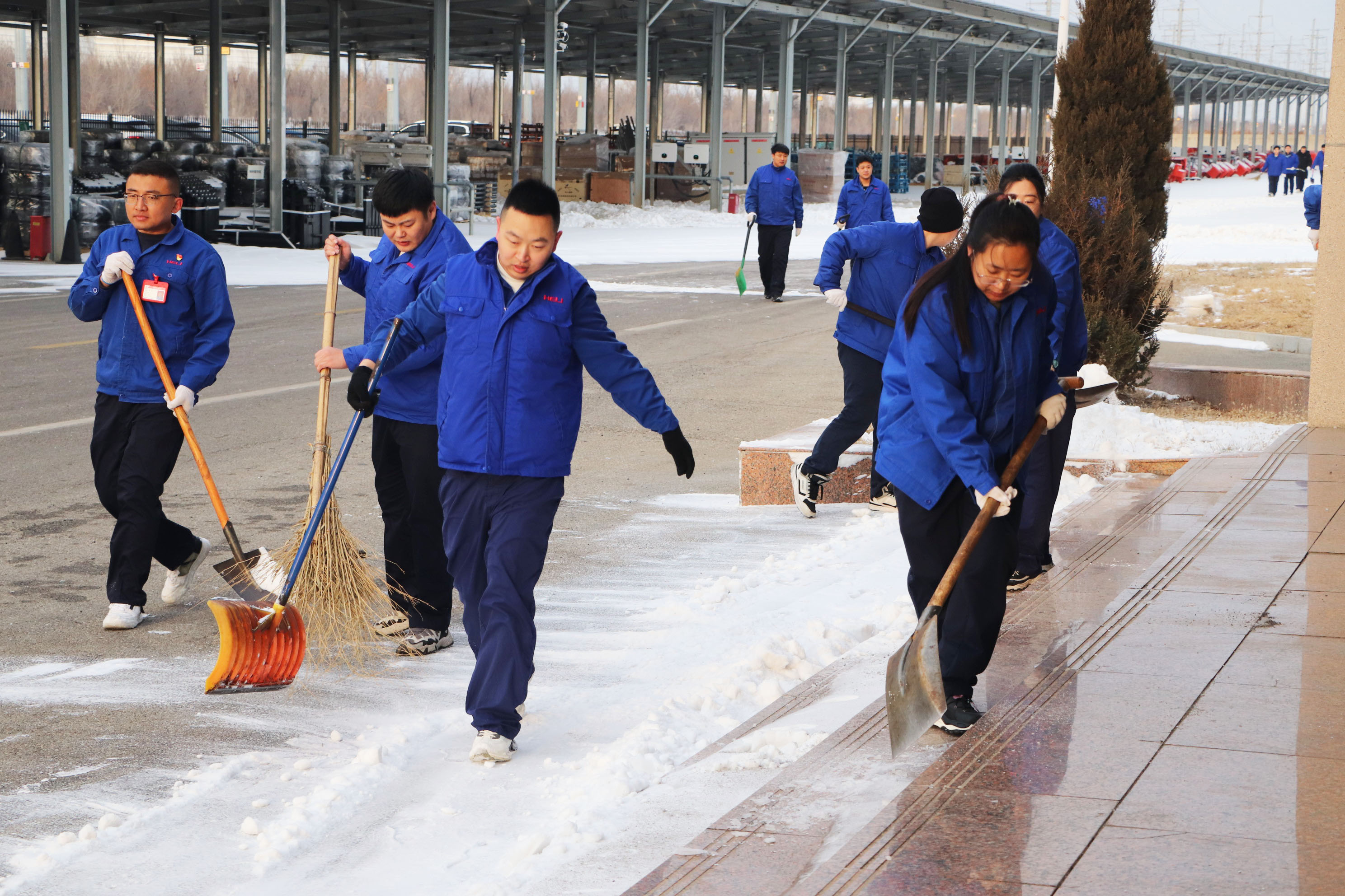 初雪.jpg 初雪.jpg